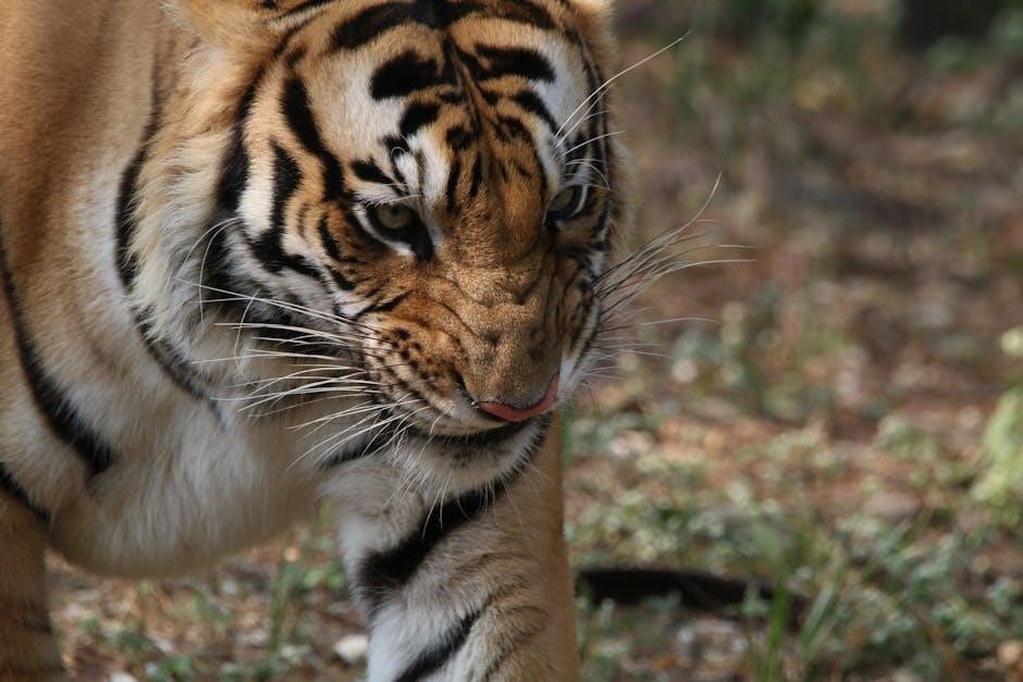 bengal tiger at the baghdad zoo pdf